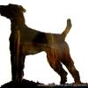 dog show awards digitized from actual photo. copper/bronze patina.